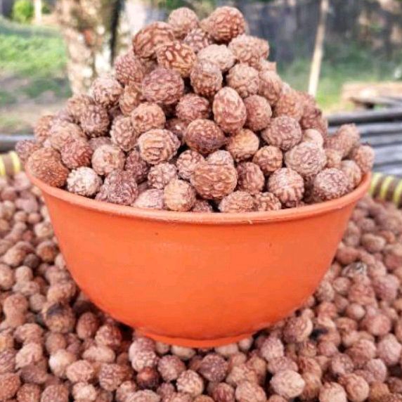 Biji Bidara Arab Pilihan 1kg