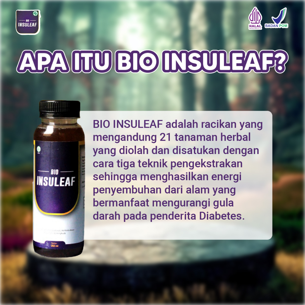 Bio Insuleaf Original Bantu Atasi Gula Darah DIabetes Paket 2 Botol Isi 250ml