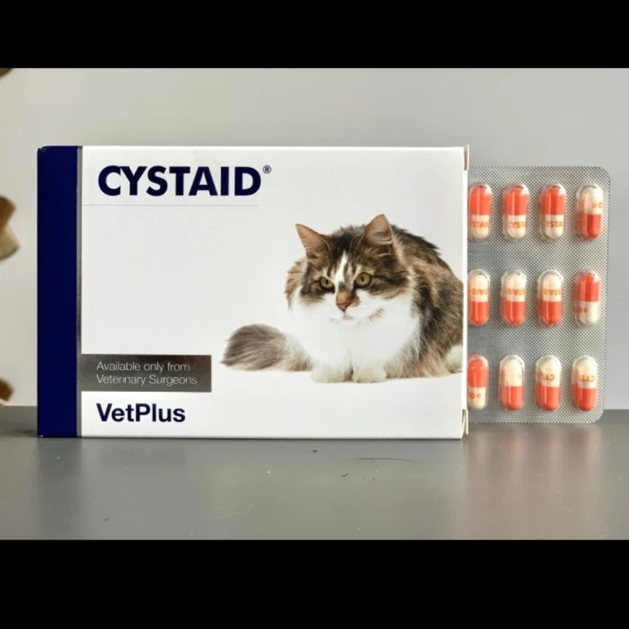 Cystaid Plus Obat Untuk Masalah Saluran Kemih Harga Satu Kapsul