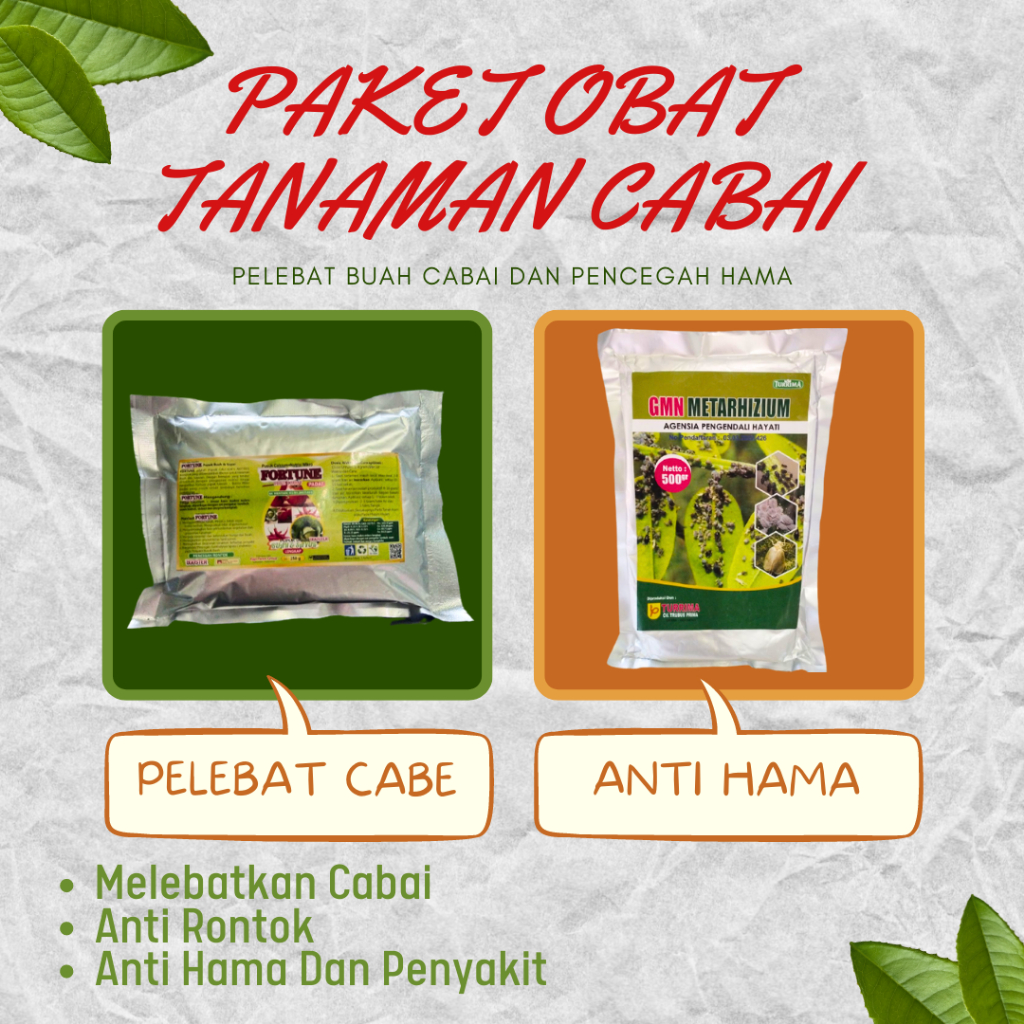 Obat Cabe Patek, Paket Pupuk Tanaman Cabe Rawit Agar Berbuah Lebat