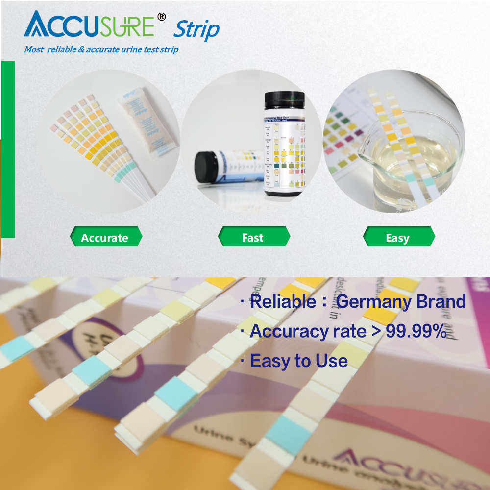 ACCUSURE 100Pc Urine Test Strip Kit 10Item Health check Self-Test for Pregnant Losing Weigt Diabetic