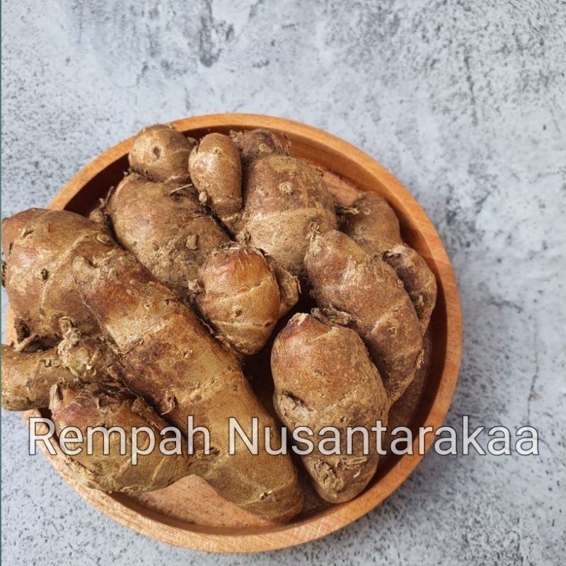 

Kencur fresh 1 kg