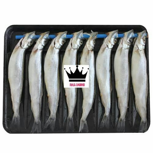 

Ikan Shisamo