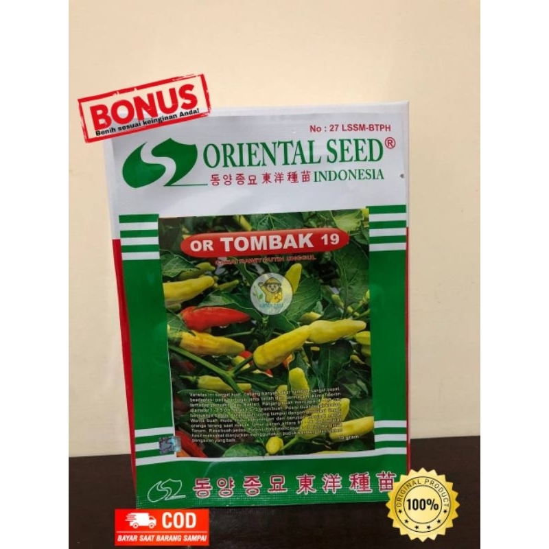 Benih Cabe OR Tombak dari Oriental Seed