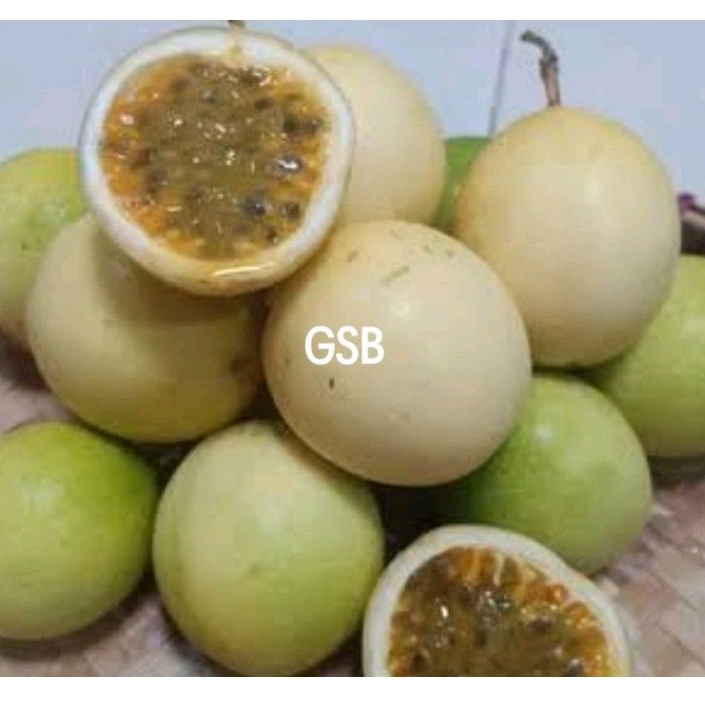 

Buah markisa kuning segar 500 gram