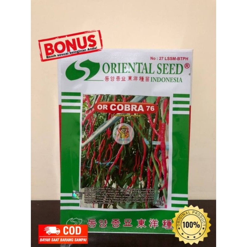 Benih Cabe OR Cobra 76 dari Oriental Seed