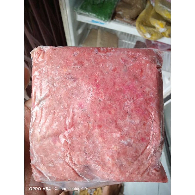 umpan Galatama lele daging biawak