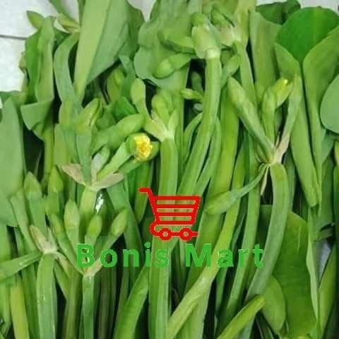 

Sayur Genjer | Daun Genjer Segar Dan Fress.