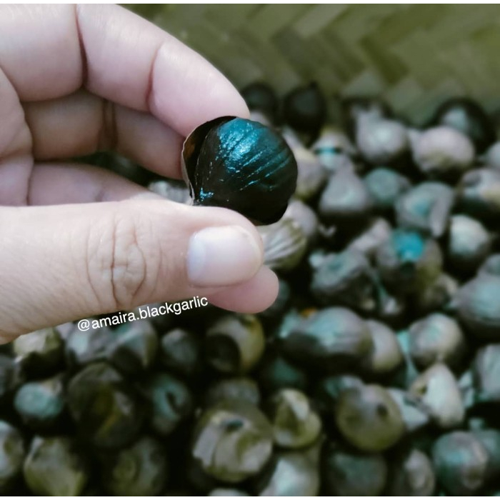[500gr] Black Garlic | Bawang Hitam Lanang/Tunggal