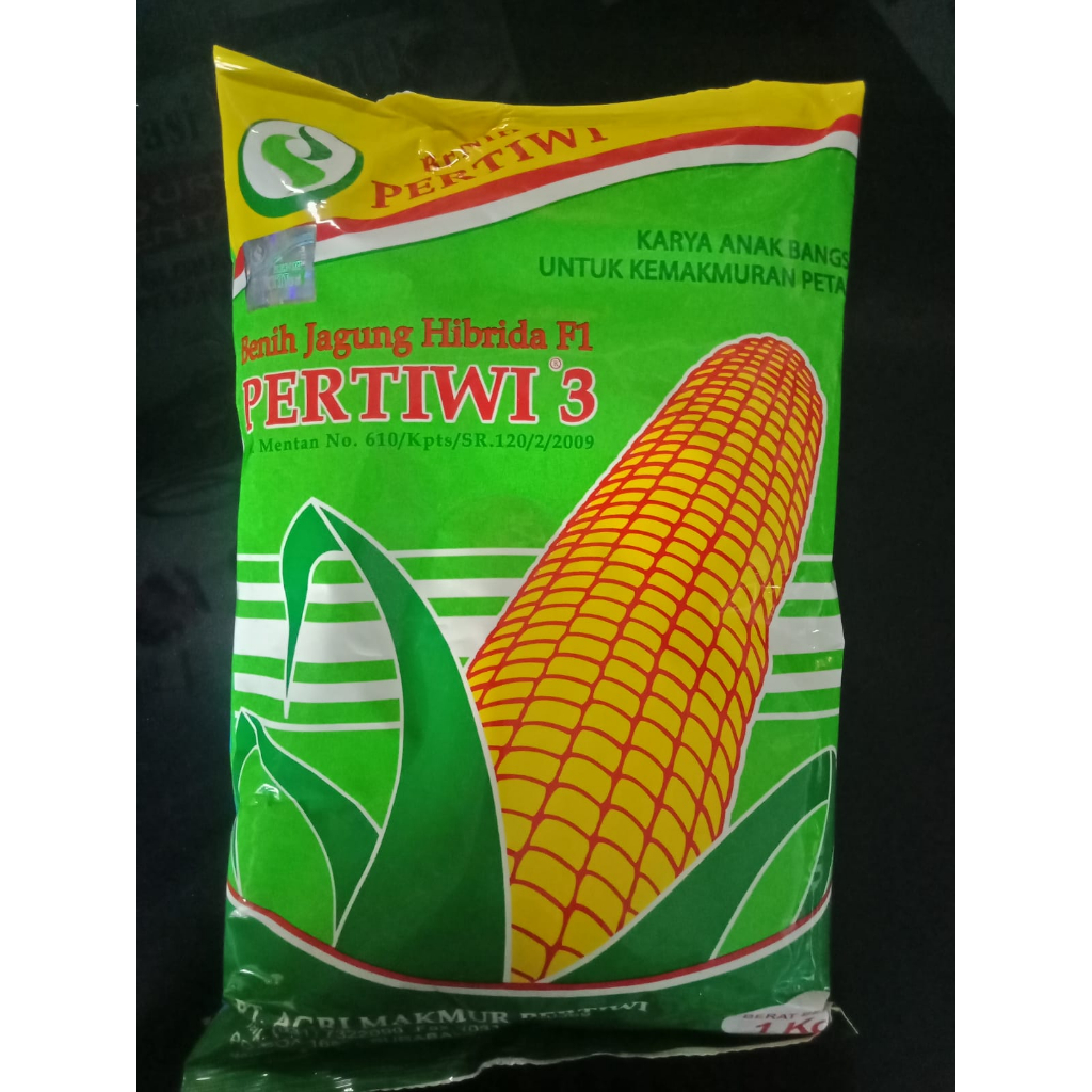 BENIH BIBIT JAGUNG HIBRIDA PERTIWI 3 1 KG Pertiwi 3 benih jagung hibrida