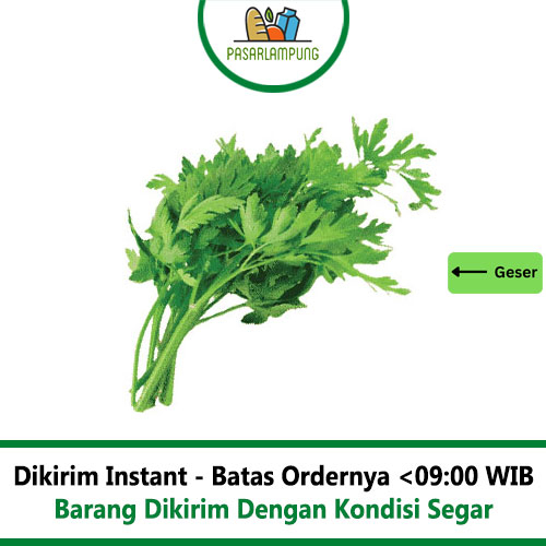 

Daun Seledri Per Ikat Pasar Lampung