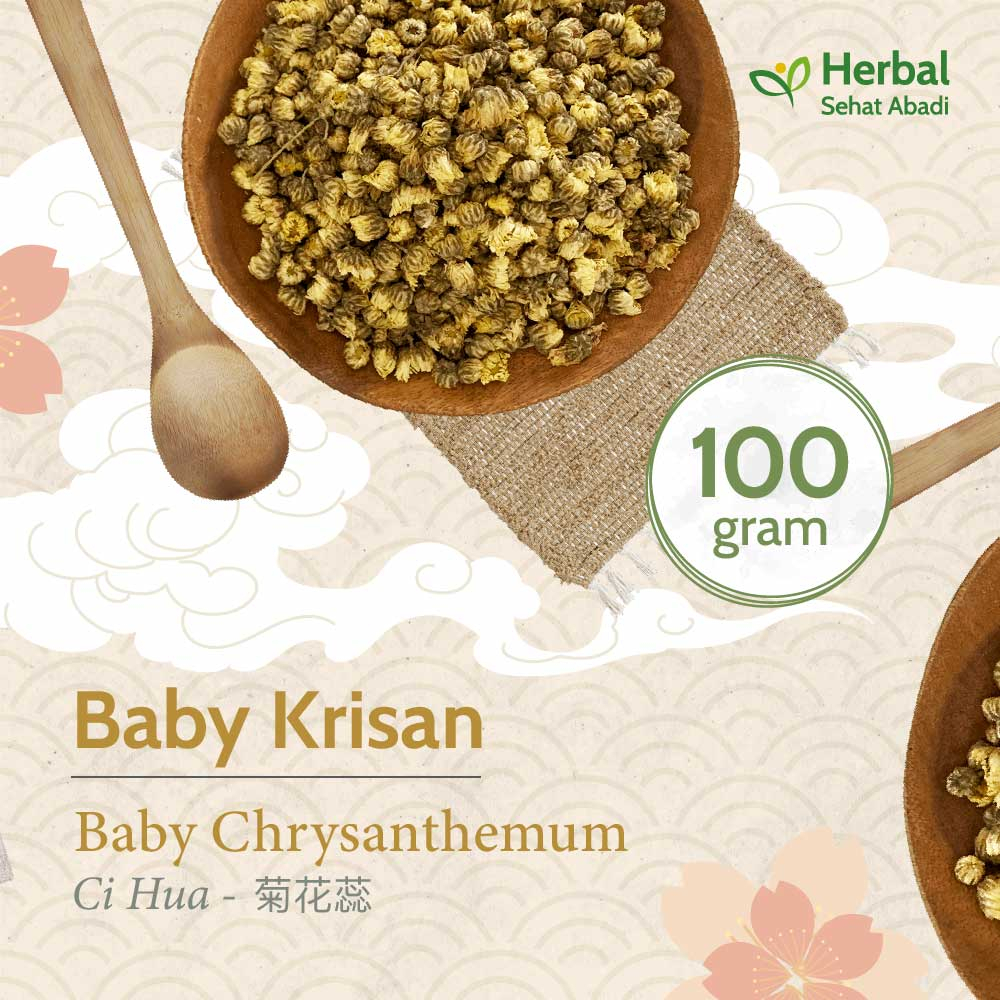 

Baby Chrysanthemum 100 gram / Teh Bunga Baby Krisan (菊花蕊)