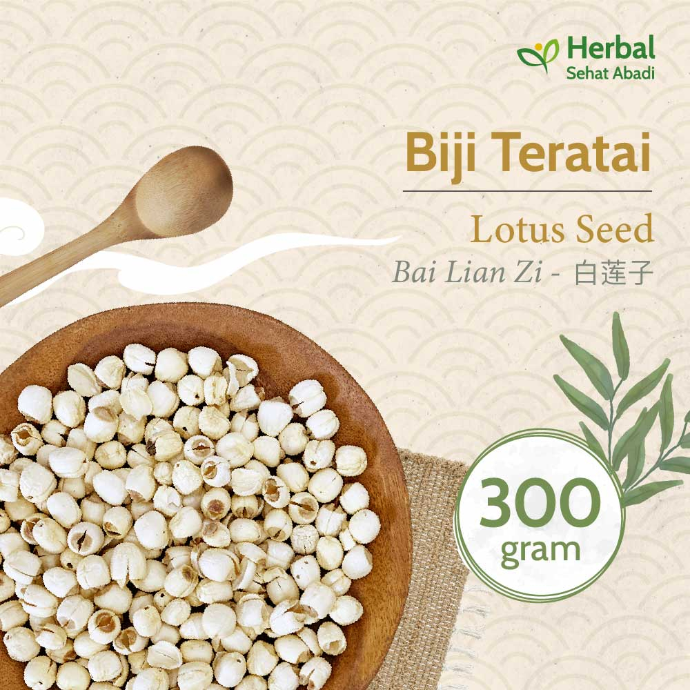 

Biji Teratai 300 gram / Lotus Seed / bai lian zi (白莲子) / lien ce