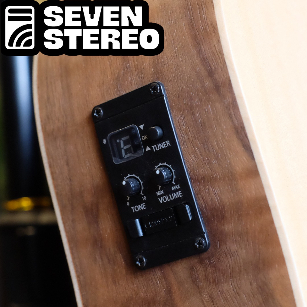 Taylor Big Baby Taylor-e Walnut Acoustic Guitar w/Bag