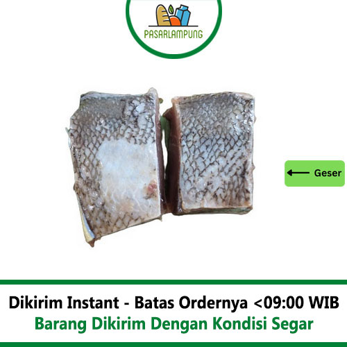 Ikan Simba Potongan Daging Pasar Lampung