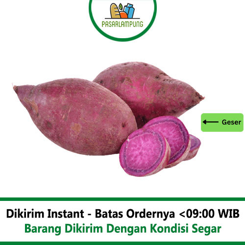 Ubi Mantang Ungu 900-1000 Gram Kg Pasar Lampung