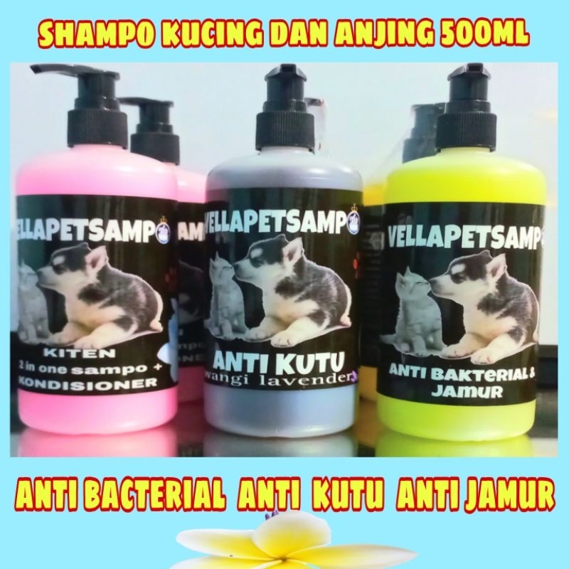 shampo anti kutu kucing shampo anti jamur kucing