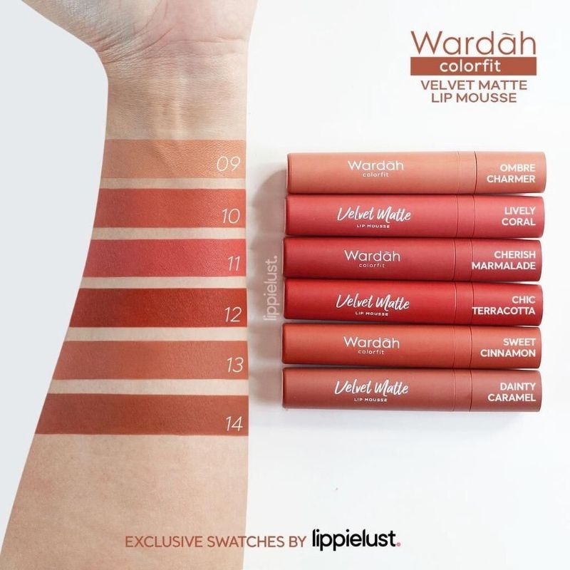 Wardah Colorfit Velvet Matte Lip Mousse // lipstik wardah 100% ASLIII