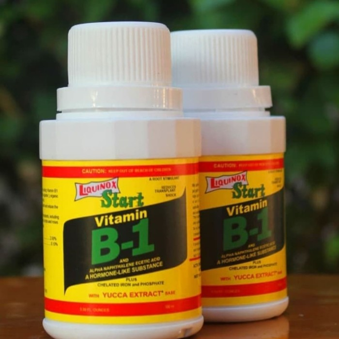 vitamin B1-viTamin b1 untuk tanaman agloNEMA-VITAMIN AGLONEMA-vitamin murah meriah(bisa cod)