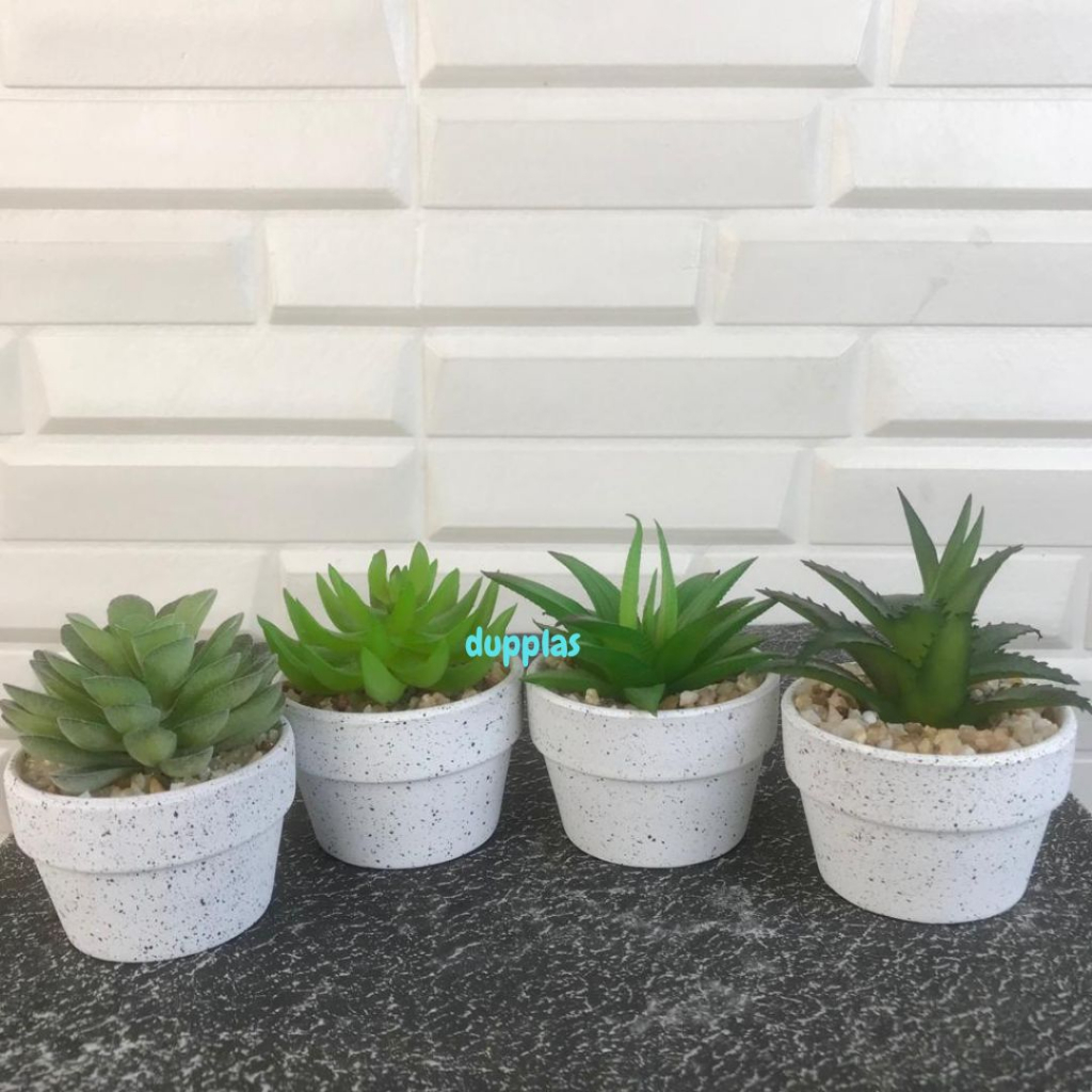 Tanaman Artificial Daun Succulent Tiger Tooth Echeveria Mini Pot Motif Teraso Pajangan Meja