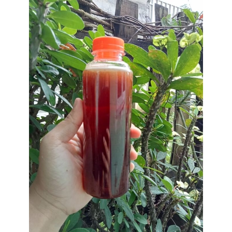 

MADU MURNI ASLI JAMBI 250ml