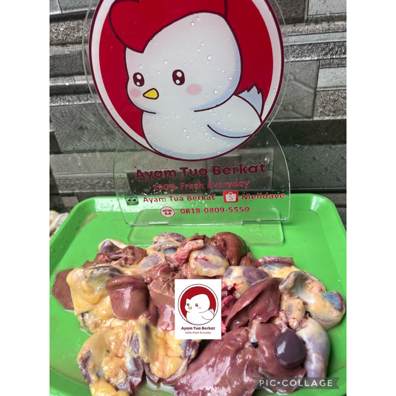 

Ati Ampla ayam besar peren/ ayam tua FRESH