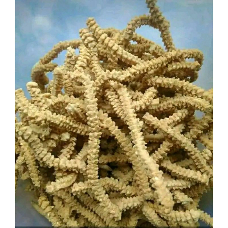 

akar kelapa ecer