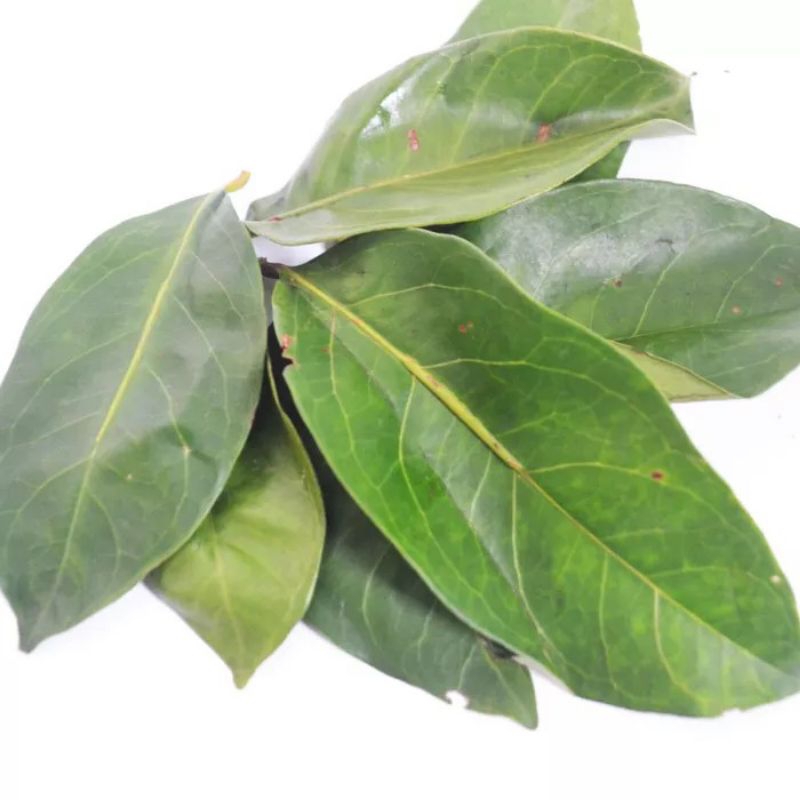 

DAUN SALAM SEGAR 250G