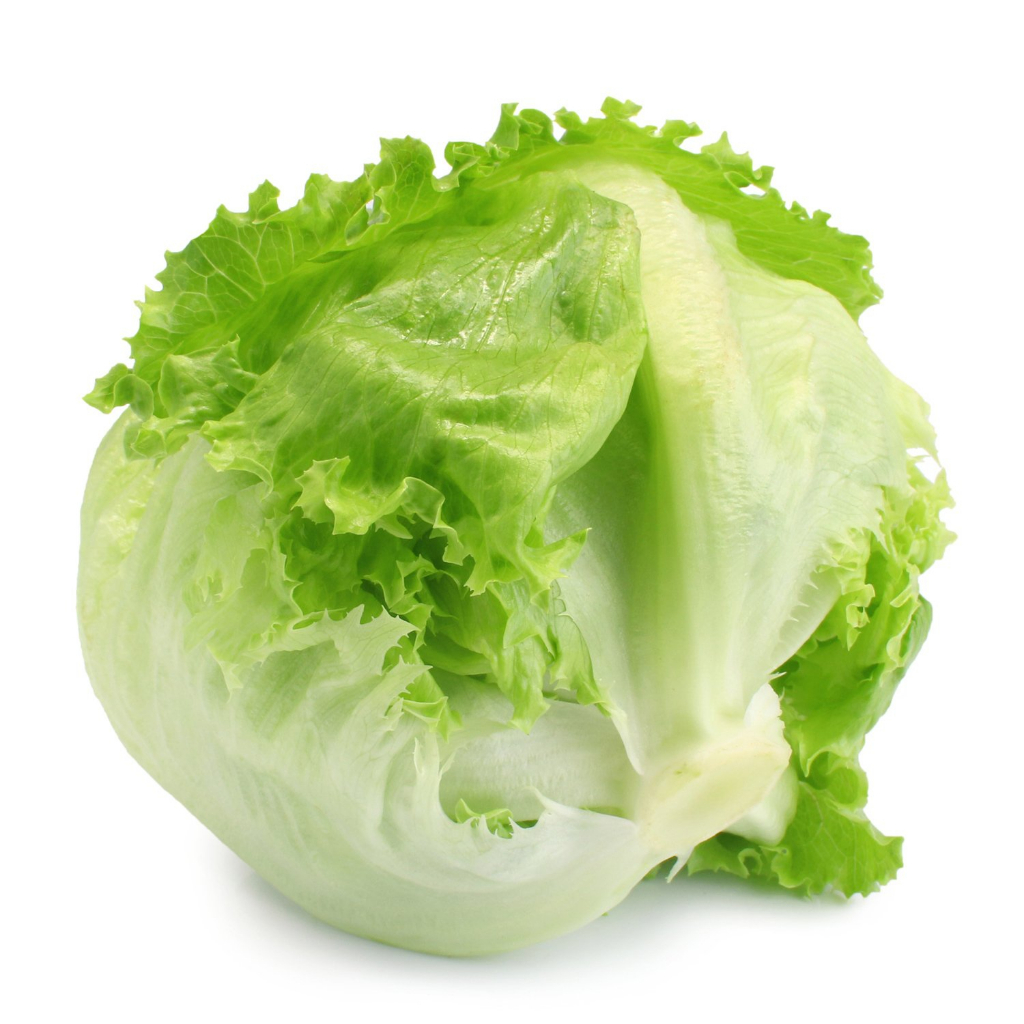 Benih Sayur Selada LETTUCE ICEBERG CRISPHEAD COMMON - Repack