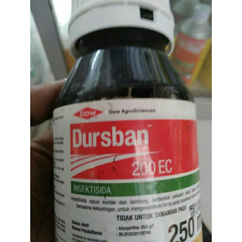 obat pertanian insektisida DURSBAN 250ml