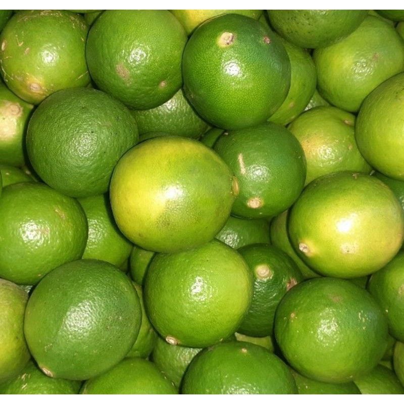 

JERUK NIPIS SEGAR 500G