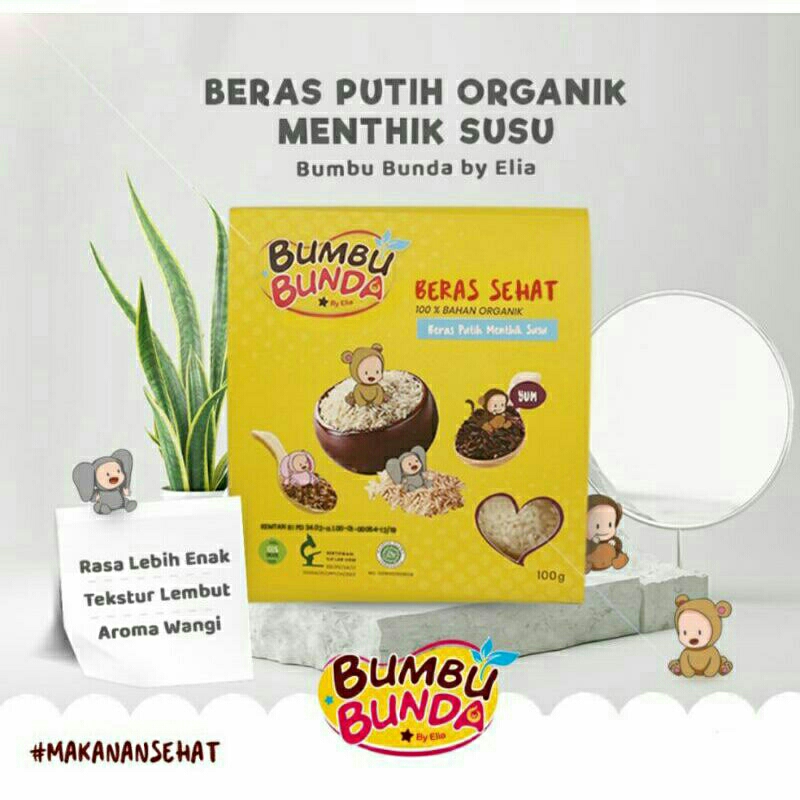 

Beras Bumbu Bunda Elia/Penambah Berat Badan Nutrisi Tinggi