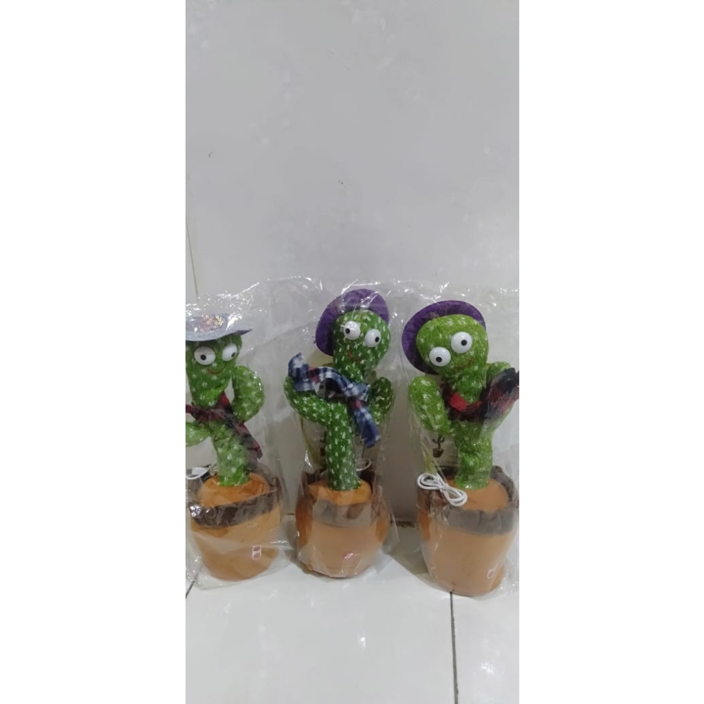 

KAKTUS GOYANG//PAKET USAHA