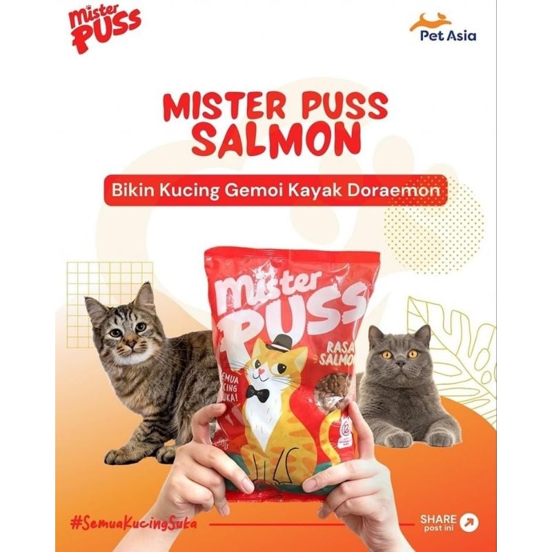 

Bundling Mister Puss Adult 500gram (2pcs)