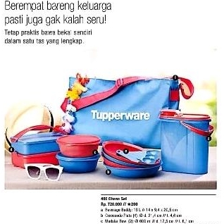 ohana tupperware lunch set