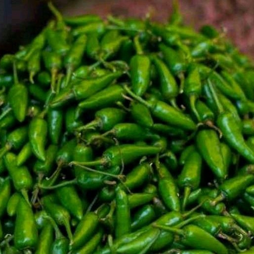 

CABAI RAWIT | CENGIS 1KG