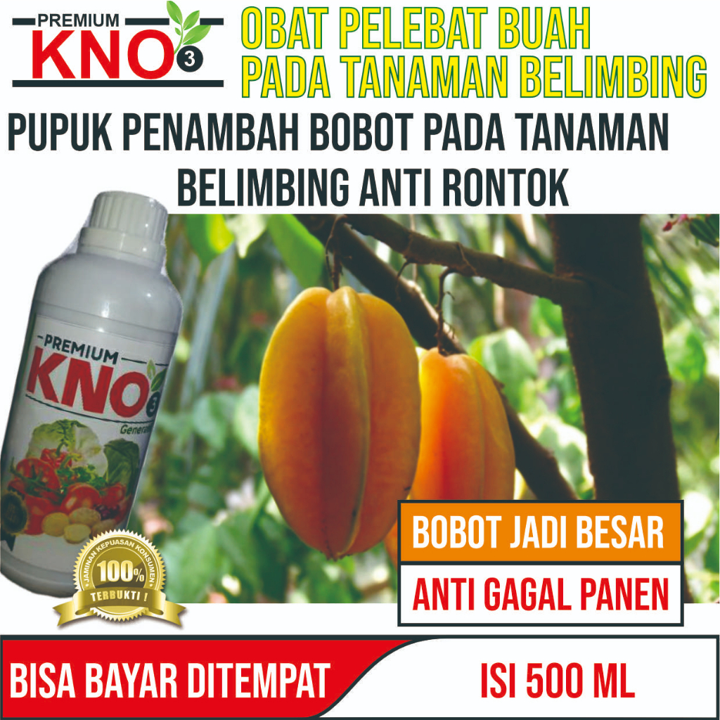 PROMO PUPUK PREMIUM KNO3 pupuk pelebat buah belimbing pupuk belimbing pupuk pelebat buah pupuk belim