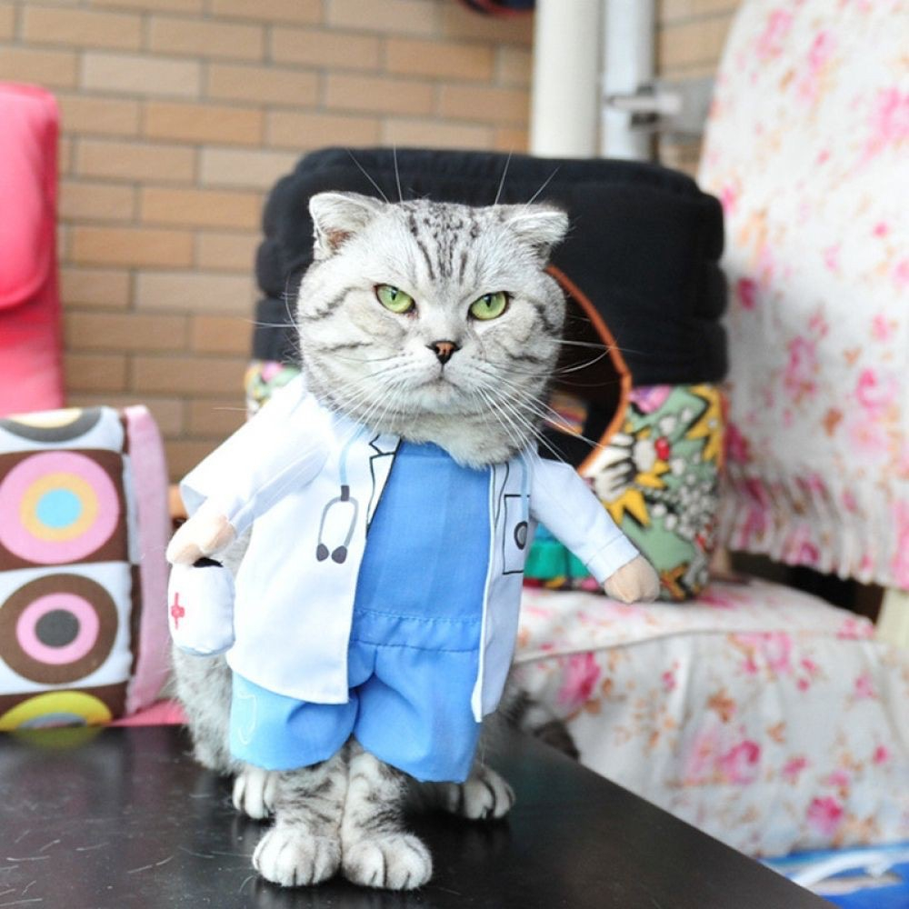 KOSTUM DOKTER CINTA - Baju Hewan Kucing Anjing Unik Dokter