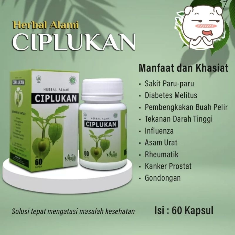 KAPSUL CIPLUKAN