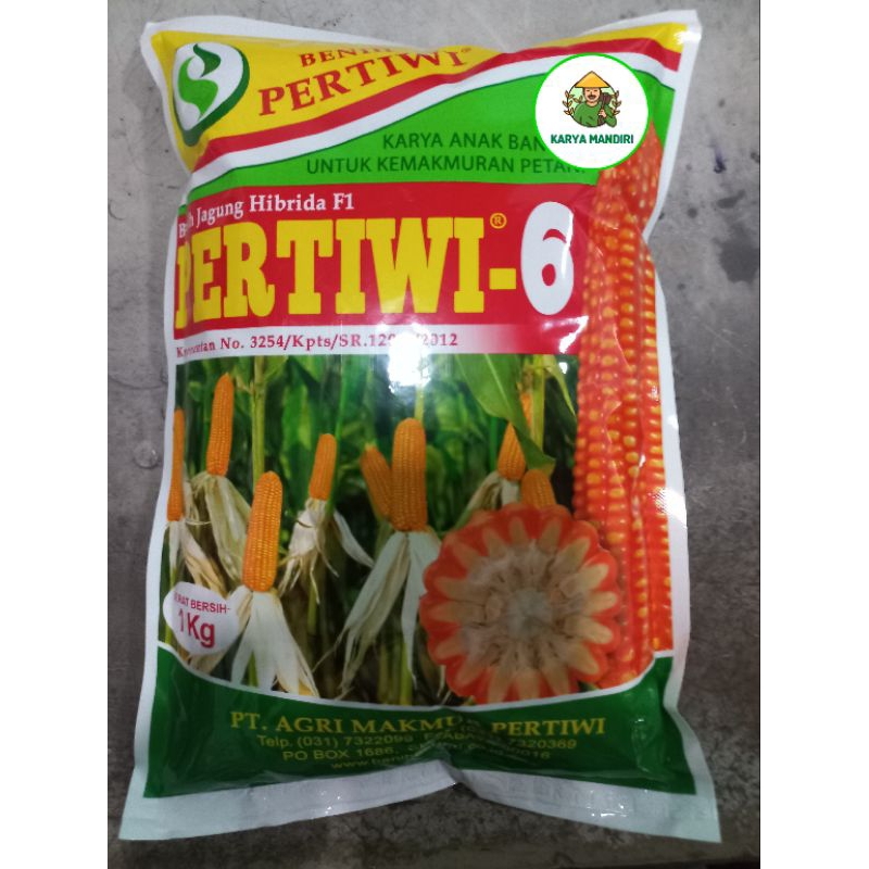 Benih Jagung Hibrida Pertiwi 6