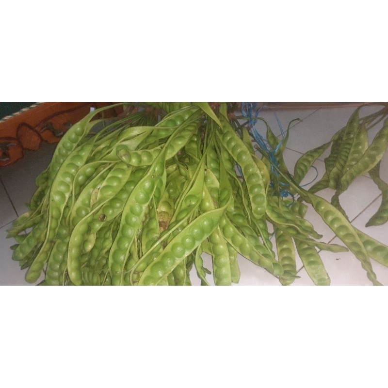 

sale pete buat lalapan isi 10 papan