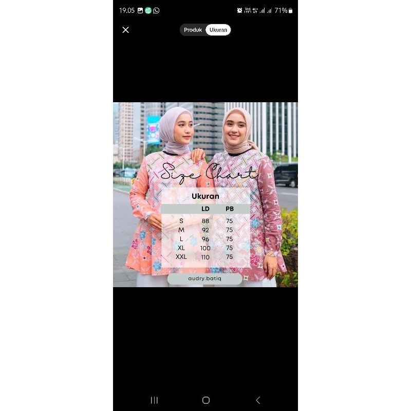 Preloved Vania blouse by Audry Batik