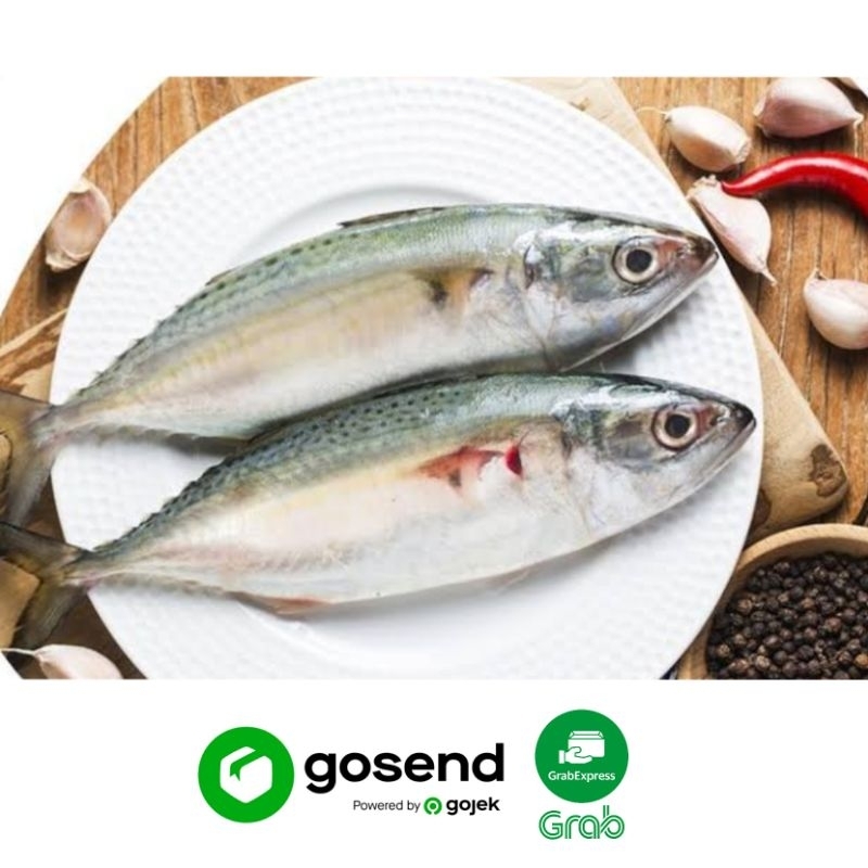 

IKAN KEMBUNG BANJAR SEGAR (500 GRAM)