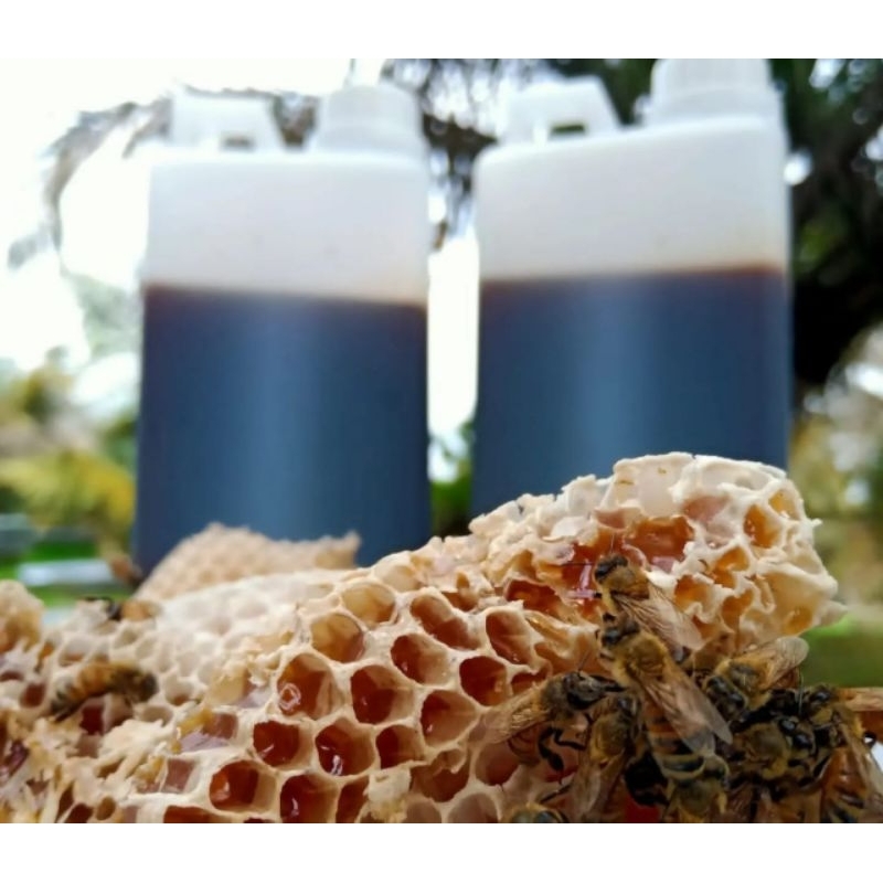 

Madu Akasia