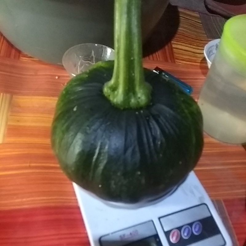 

Buah labu manis muda untuk sayuran per2kg
