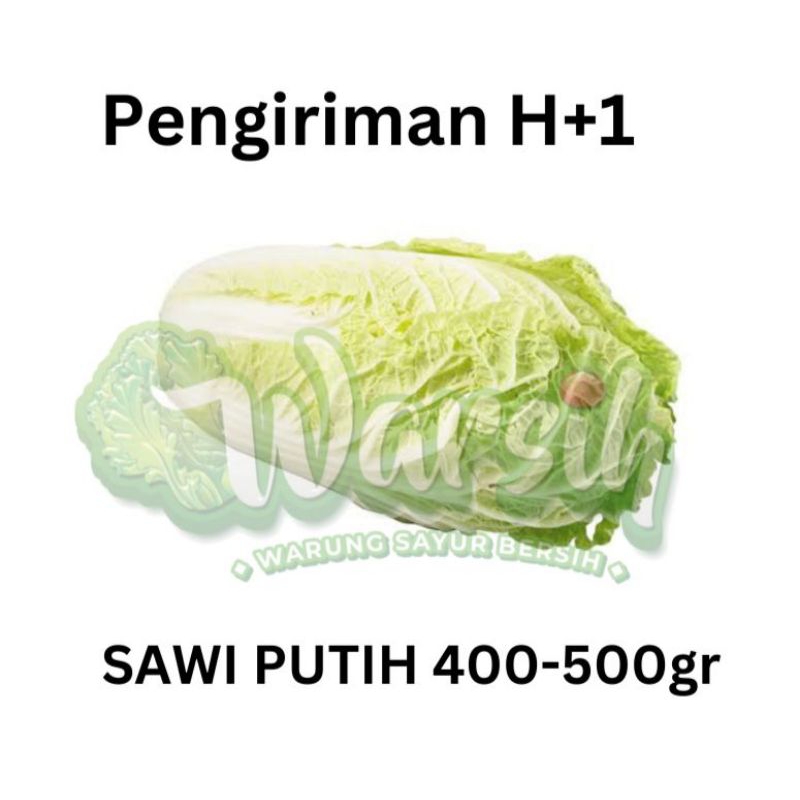 

WARSIH • SAWI PUTIH 1 BUAH (bisa iris /foodprep)