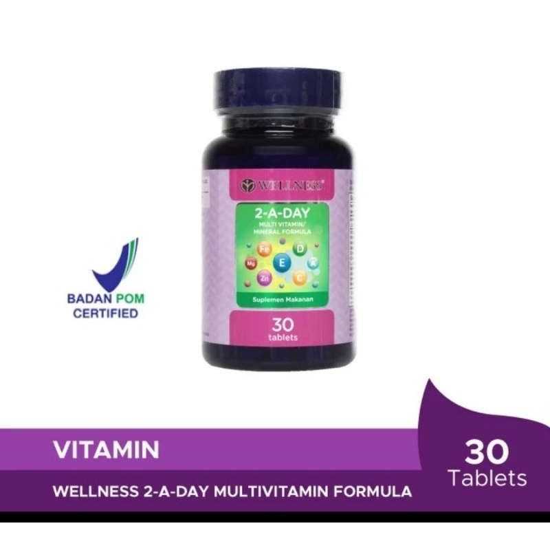 WELLNESS 2 A DAY 30 multi vitamin multi mineral