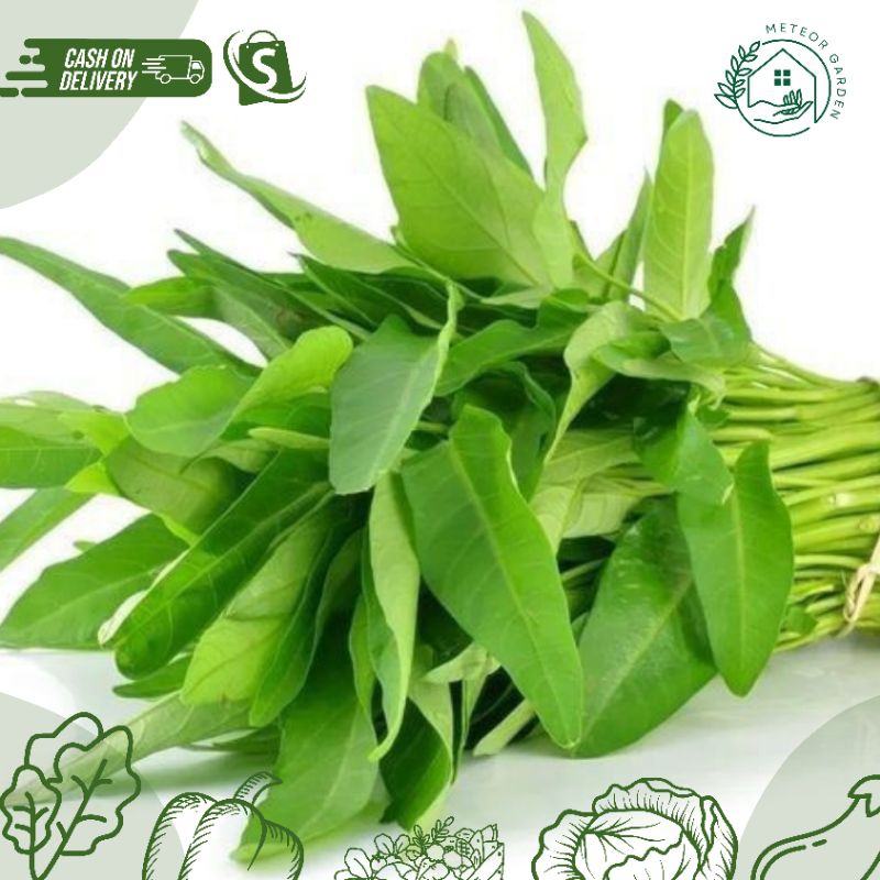 

SAYUR KANGKUNG / PER IKAT