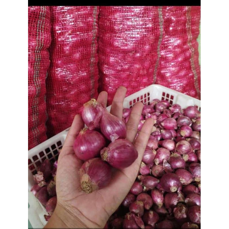 

bawang merah lokal Padang murmer 1kg 25000