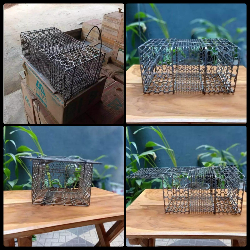 Jebakan Tikus Otomatis